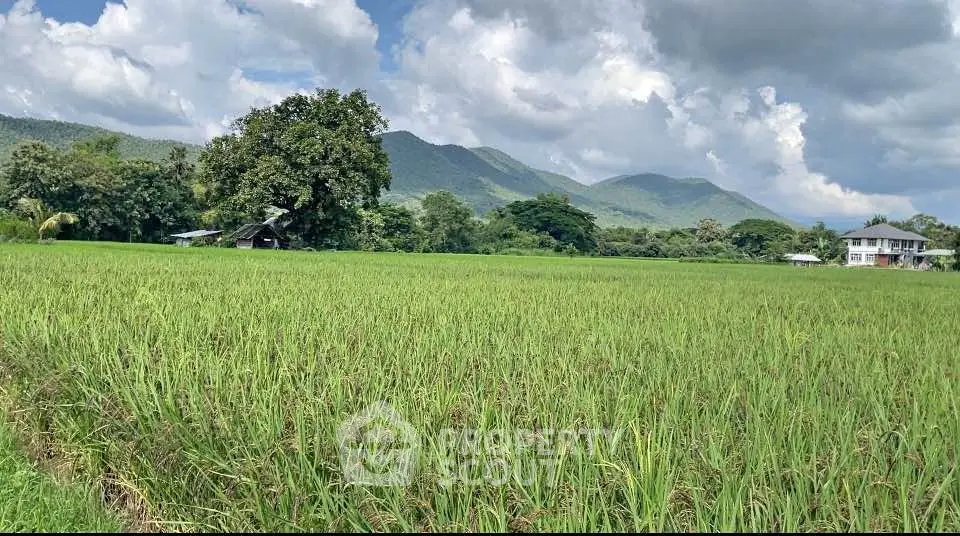 Scenic rural landscape with lush green fields and distant mountains, perfect for tranquil living.