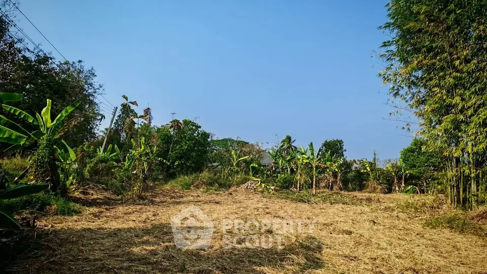Expansive land plot with lush greenery and clear blue sky, perfect for development or agriculture.
