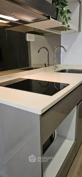 Modern kitchen with sleek induction cooktop and dual faucets