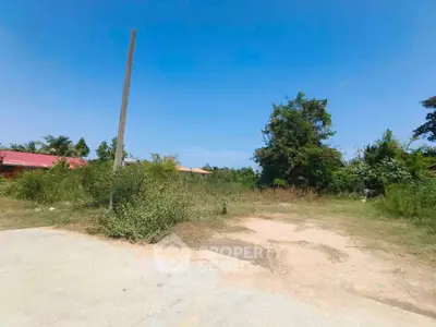 Spacious vacant land with lush greenery, perfect for development opportunities.