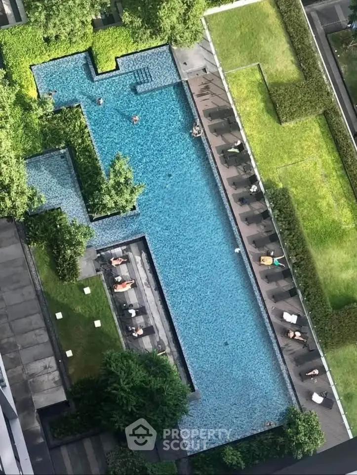 Luxurious aerial view of a modern residential swimming pool with lush greenery and sun loungers.