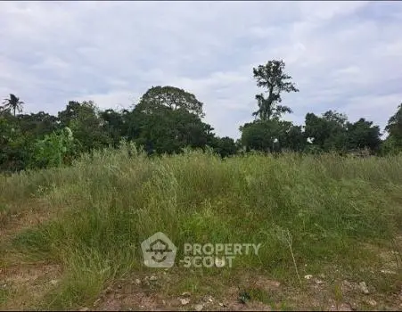 image_rental-21906106