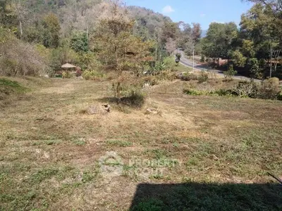 image_rental-30012592