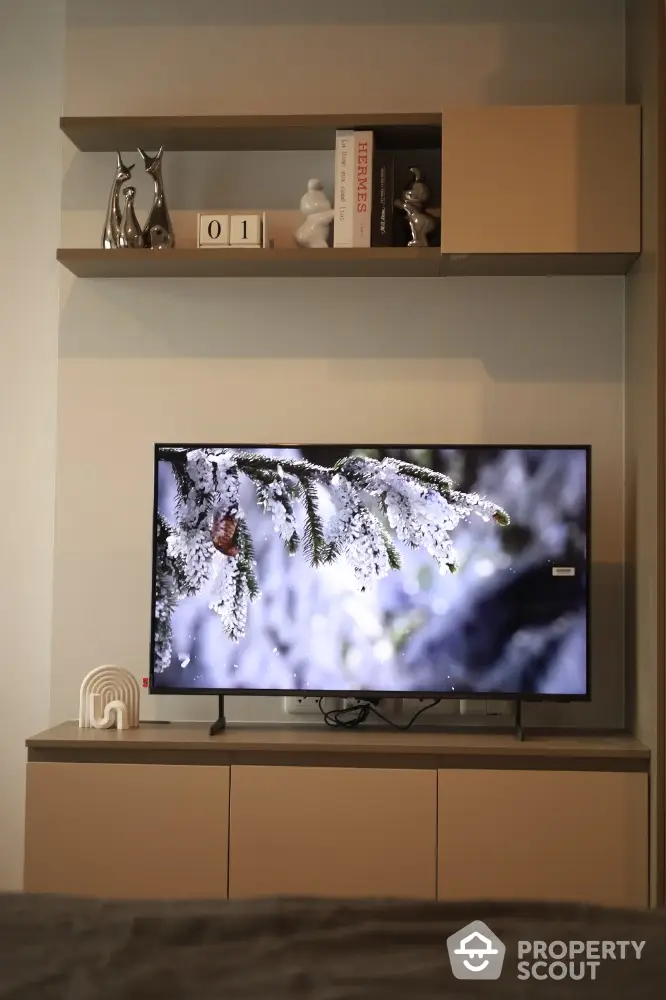 Modern living room with stylish shelves and flat-screen TV displaying winter scene.