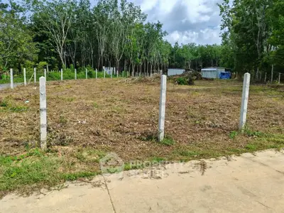 image_rental-29782685