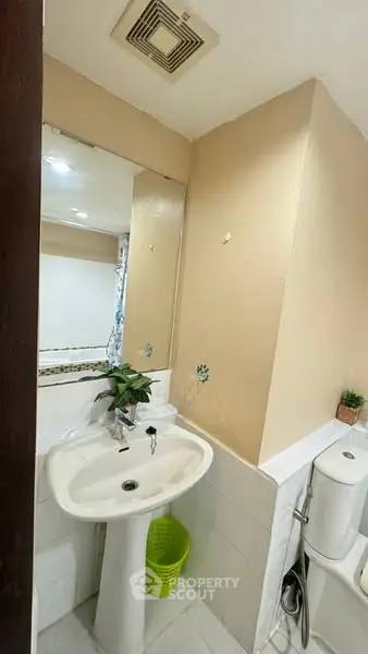 Compact bathroom with pedestal sink and toilet, featuring a small mirror and potted plants for decor.