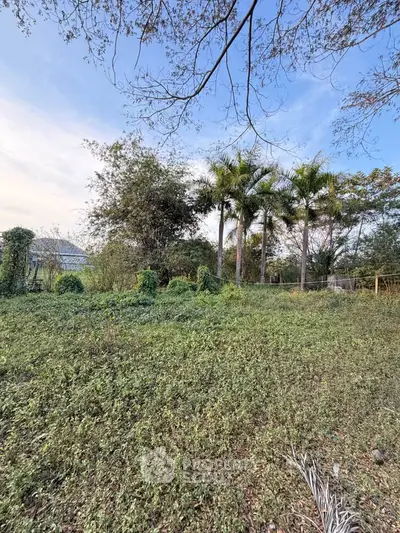 Lush garden with palm trees and greenery under a clear blue sky