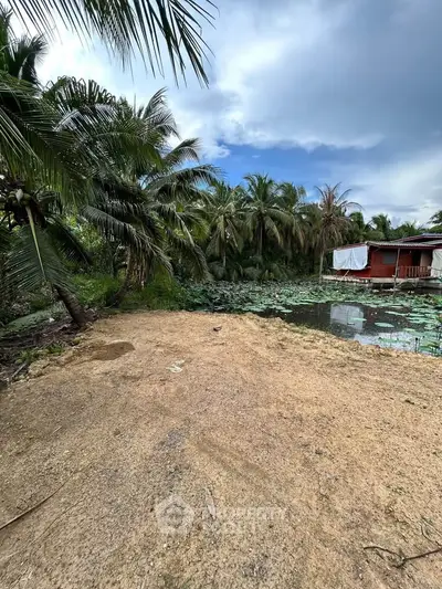 Tropical property with lush palm trees and serene pond, perfect for nature lovers seeking tranquility.