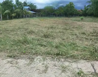 image_rental-28580972