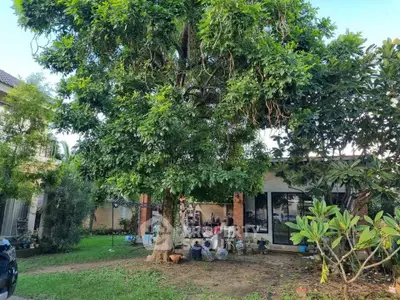 image_rental-28716366