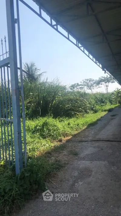 Expansive outdoor area with lush greenery and metal gate, ideal for development opportunities.