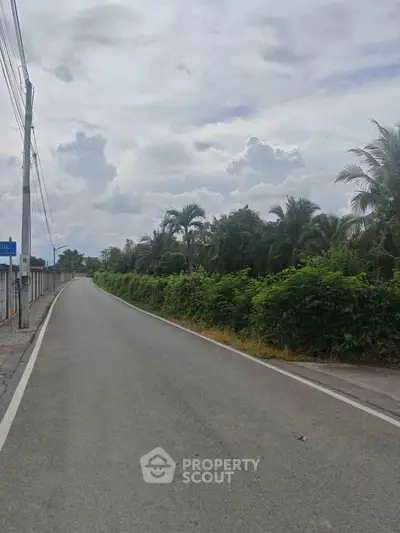 Scenic road view with lush greenery and palm trees, ideal for tranquil real estate development.