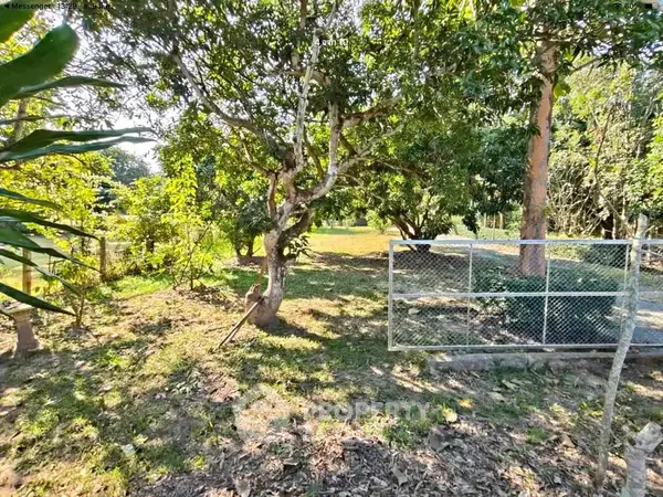 image_rental-27755062