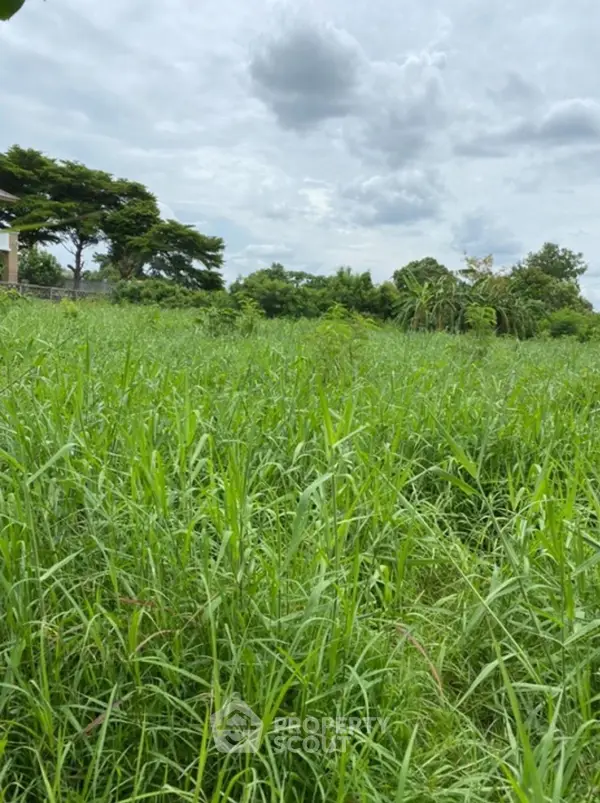 image_rental-16789631