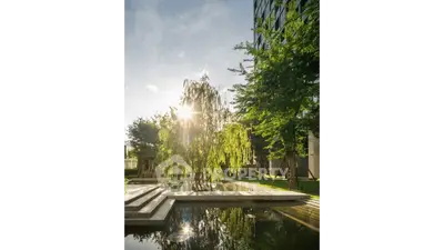 image_rental-30643007