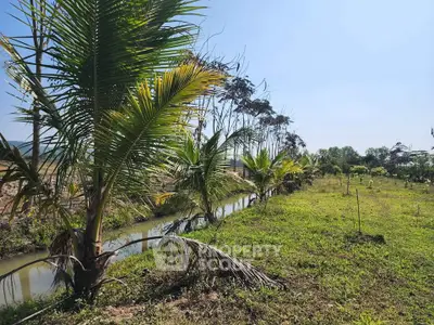 Lush green land with palm trees and a serene water canal, perfect for agricultural investment.