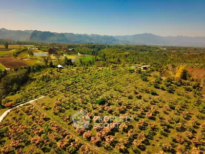 Scenic aerial view of lush green farmland with mountains in the background, perfect for agricultural investment.