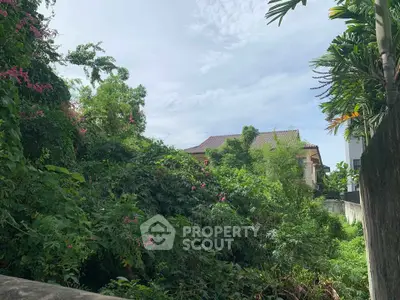 Lush garden view with tropical foliage and distant house, perfect for nature lovers seeking tranquility.