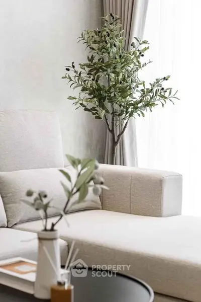 Elegant living room with modern beige sofa and decorative plant, bathed in natural light.
