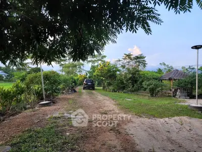 Scenic driveway leading to a lush garden with a gazebo, perfect for serene outdoor living.