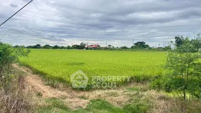 image_rental-31704967