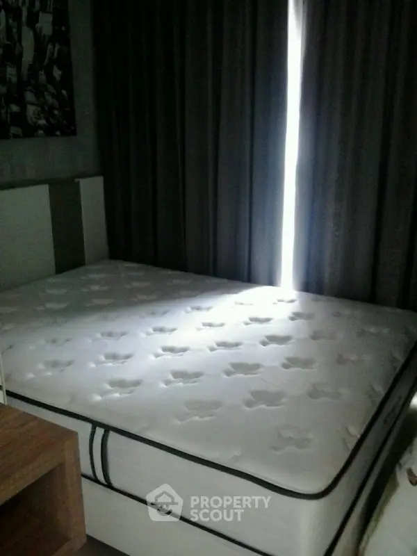 image_rental-21124446