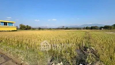 image_rental-31423422