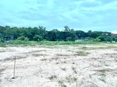 Expansive vacant land with lush greenery, perfect for development opportunities.