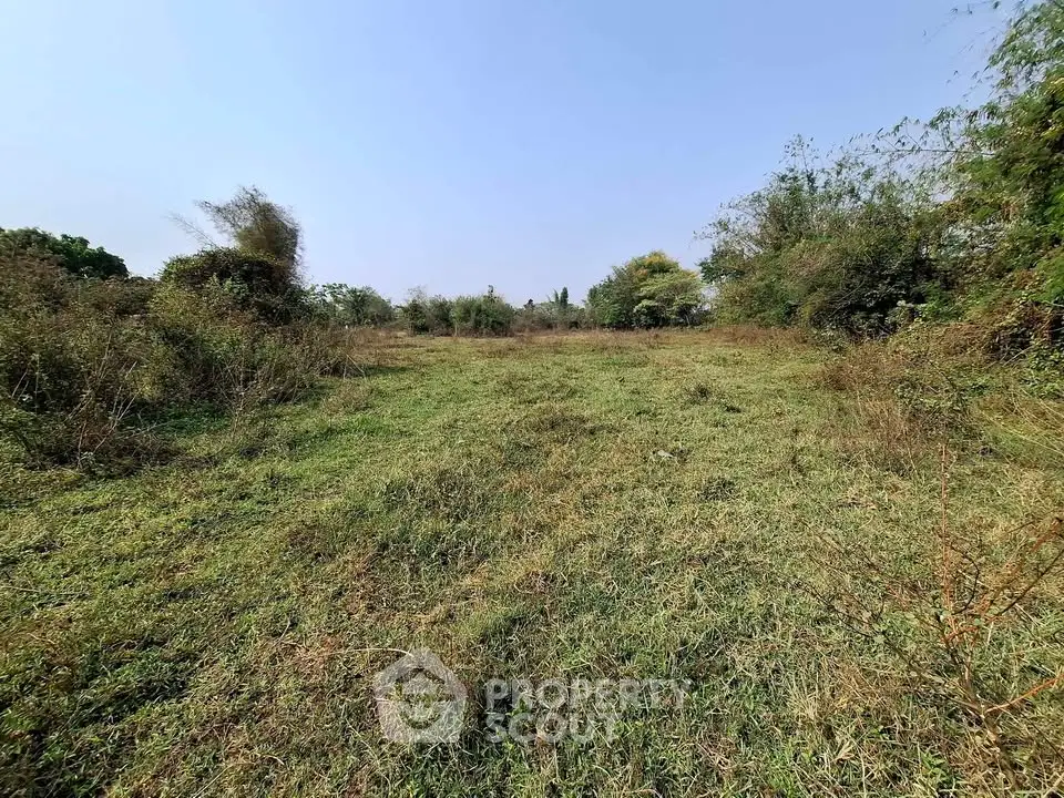 Expansive green land plot with lush vegetation, perfect for development or investment opportunities.