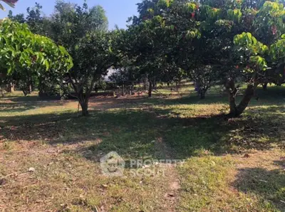 Screenshot 2026-03-28 200638.png