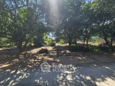 Lush garden area with mature trees and shaded pathways in a serene residential setting.