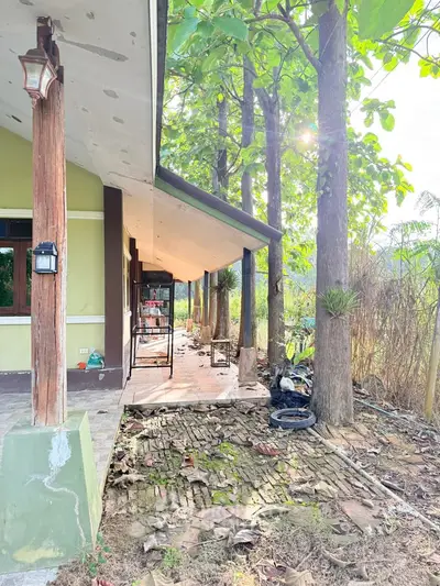 Charming rustic house exterior with lush greenery and natural surroundings, perfect for nature lovers.