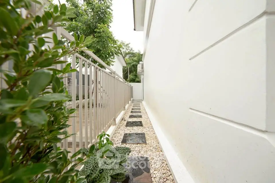 Charming narrow garden path with modern landscaping and white exterior wall.