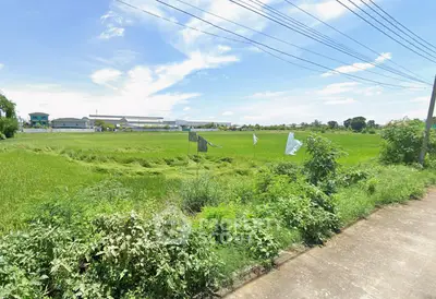 image_rental-31423378