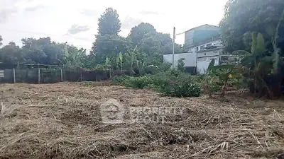 Spacious vacant land with lush greenery, ideal for development or agriculture, offering serene surroundings.