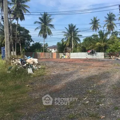 Vacant land with potential for development surrounded by palm trees and greenery.
