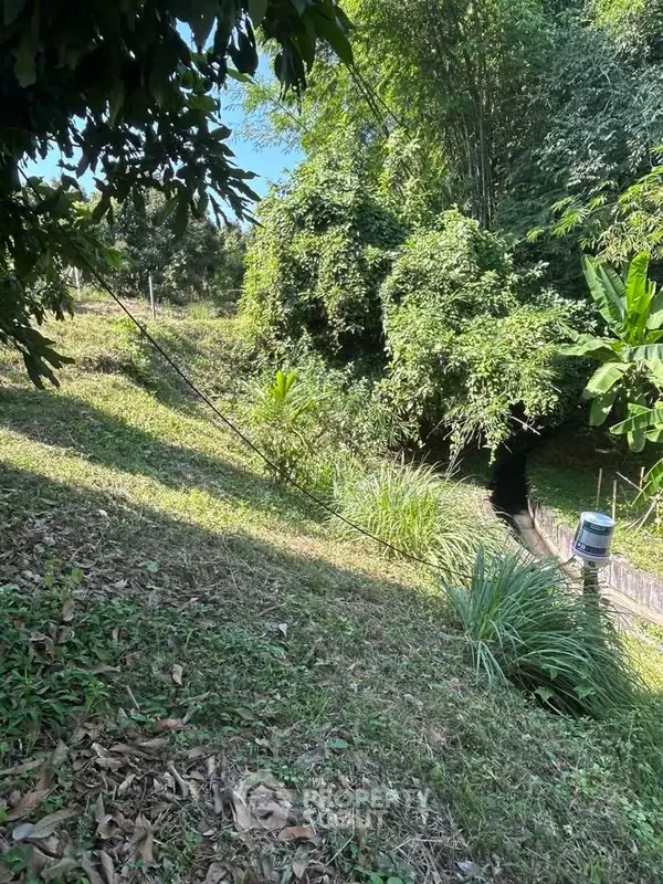 image_rental-31615316