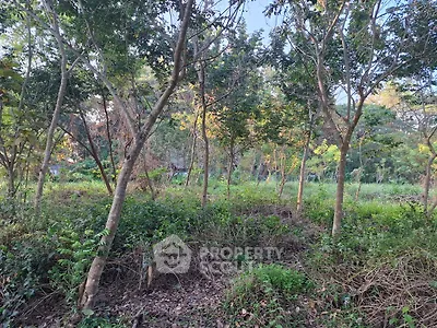 Lush green land with trees, perfect for development or investment opportunities.