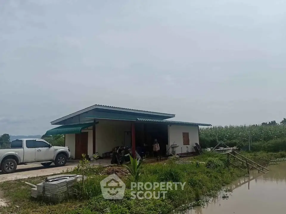 Charming rural property with a modern single-story house and lush greenery, perfect for serene living.