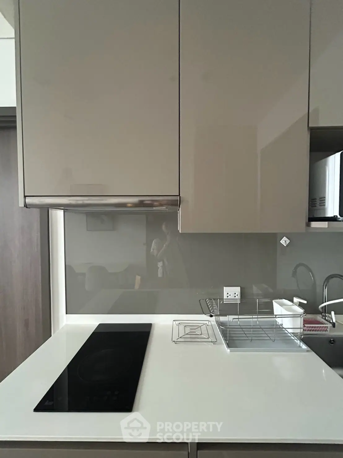 Modern kitchen with sleek cabinetry and electric cooktop, perfect for contemporary living.