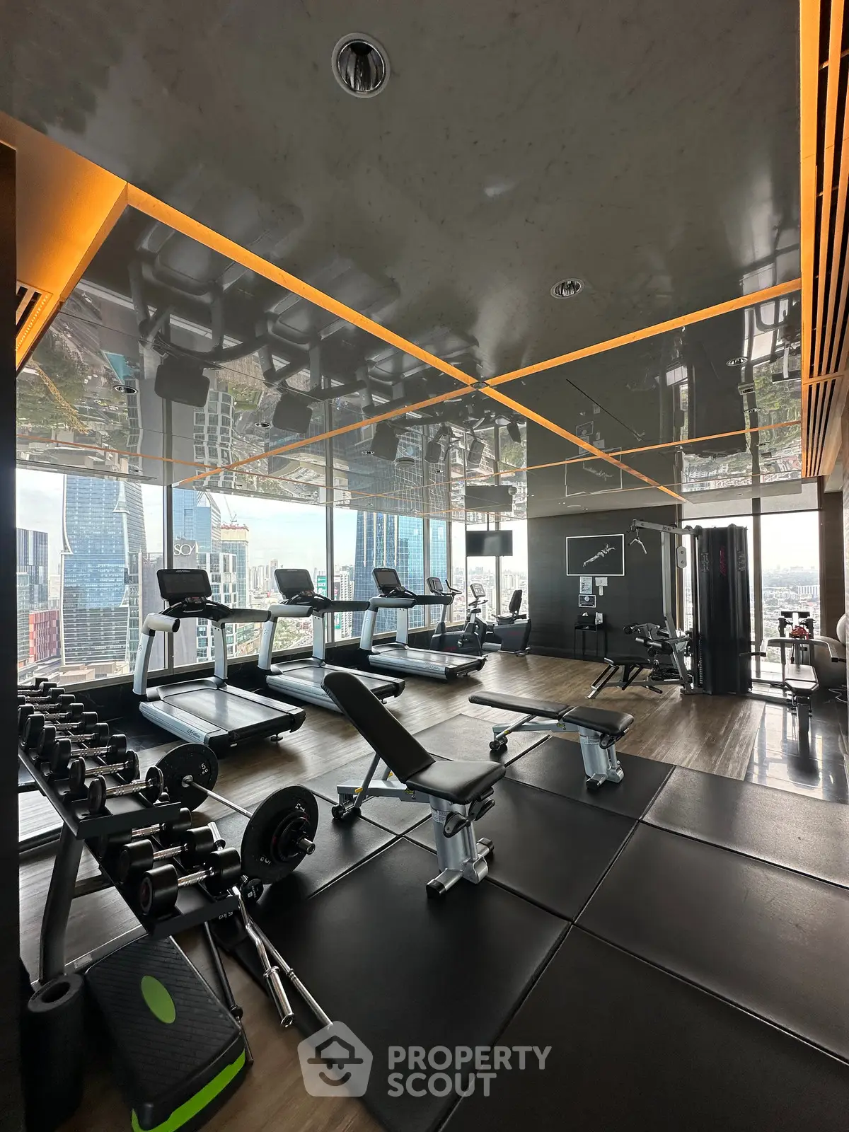 Luxurious high-rise gym with modern equipment and stunning city views.