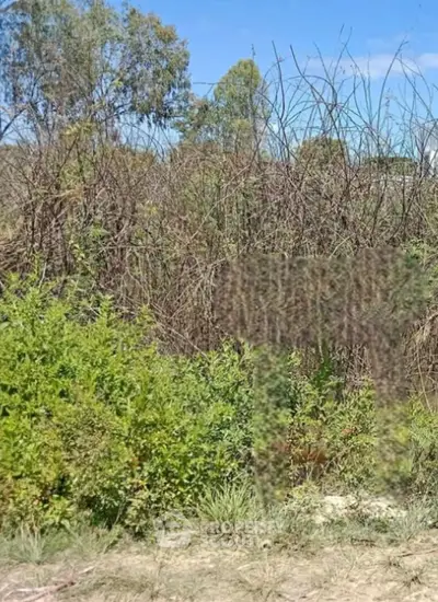 Screenshot 2026-04-15 160045.png