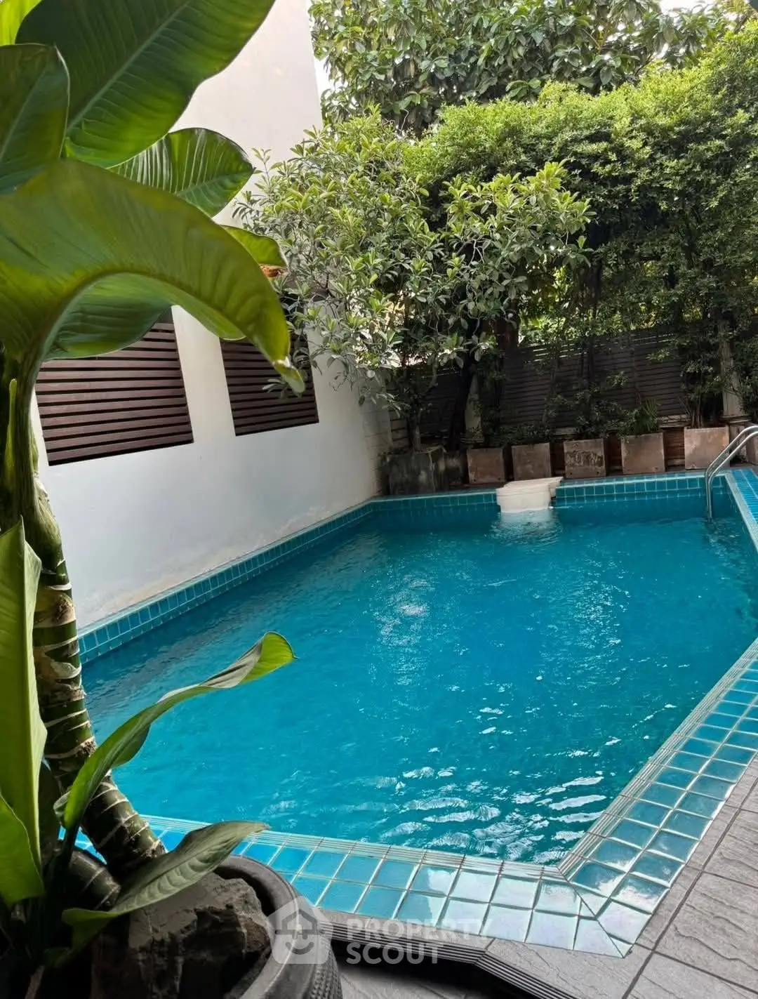 Charming private pool surrounded by lush greenery, perfect for relaxation and leisure in a serene setting.