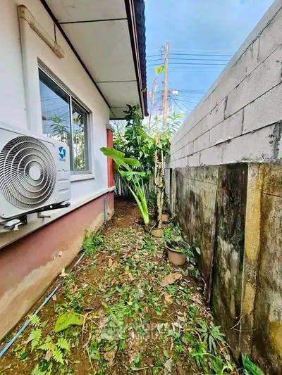 image_rental-29094437