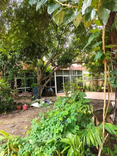 Lush garden view with mature trees and patio in a serene residential setting.