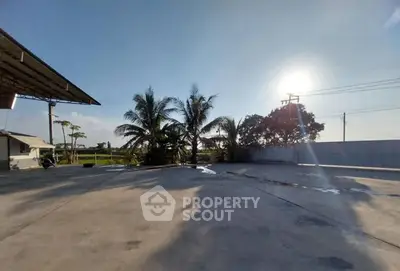 Expansive outdoor area with palm trees and open sky, perfect for development.
