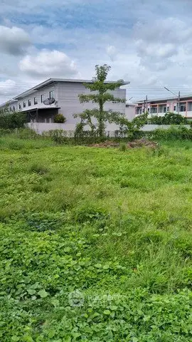 Spacious green land plot with adjacent modern building, ideal for development opportunities.