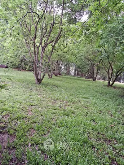 Lush green garden area with mature trees, perfect for relaxation and outdoor activities.