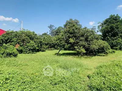 Spacious green land with lush trees under a clear blue sky, perfect for development.