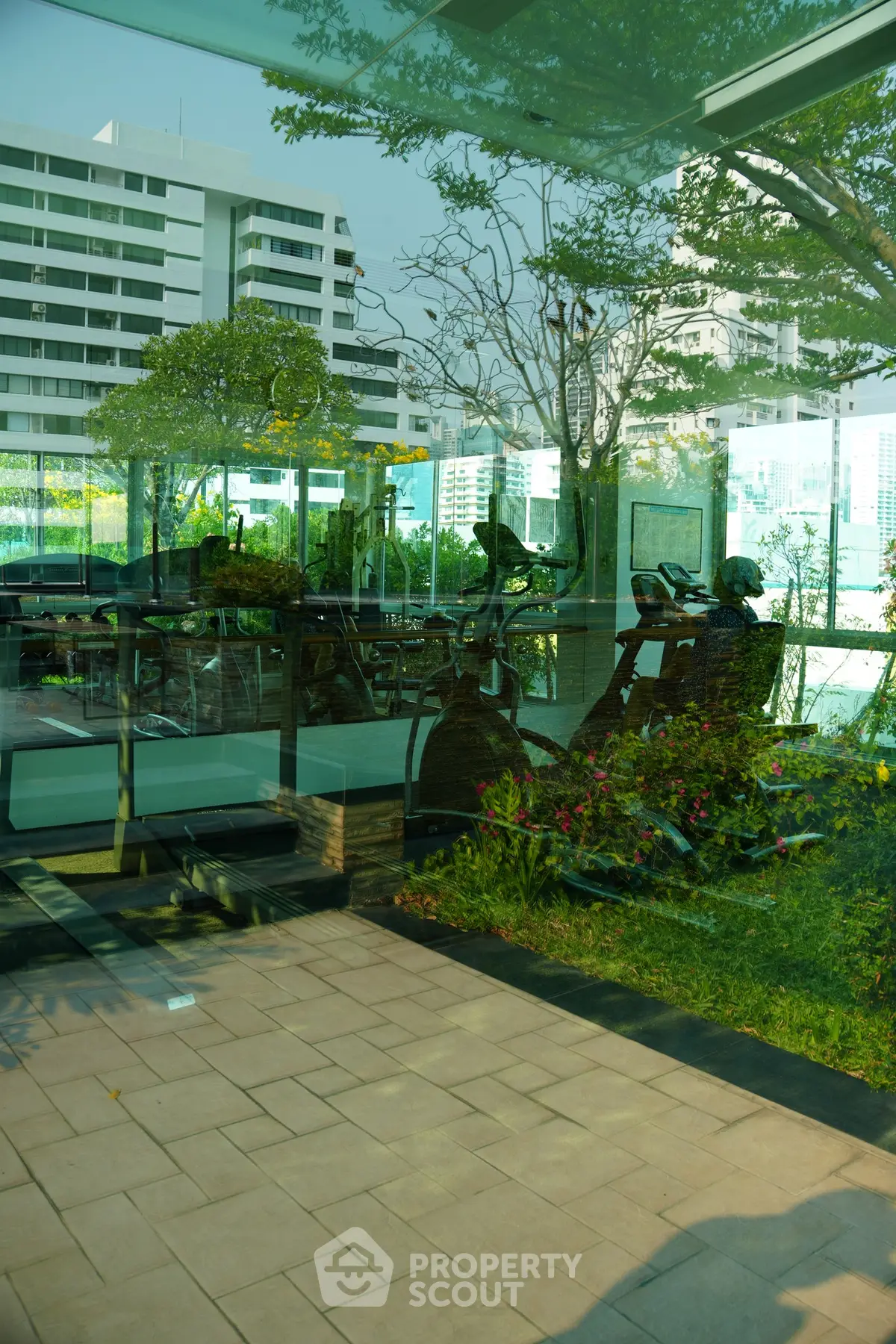 Modern gym with glass walls offering a stunning view of lush greenery and urban skyline.